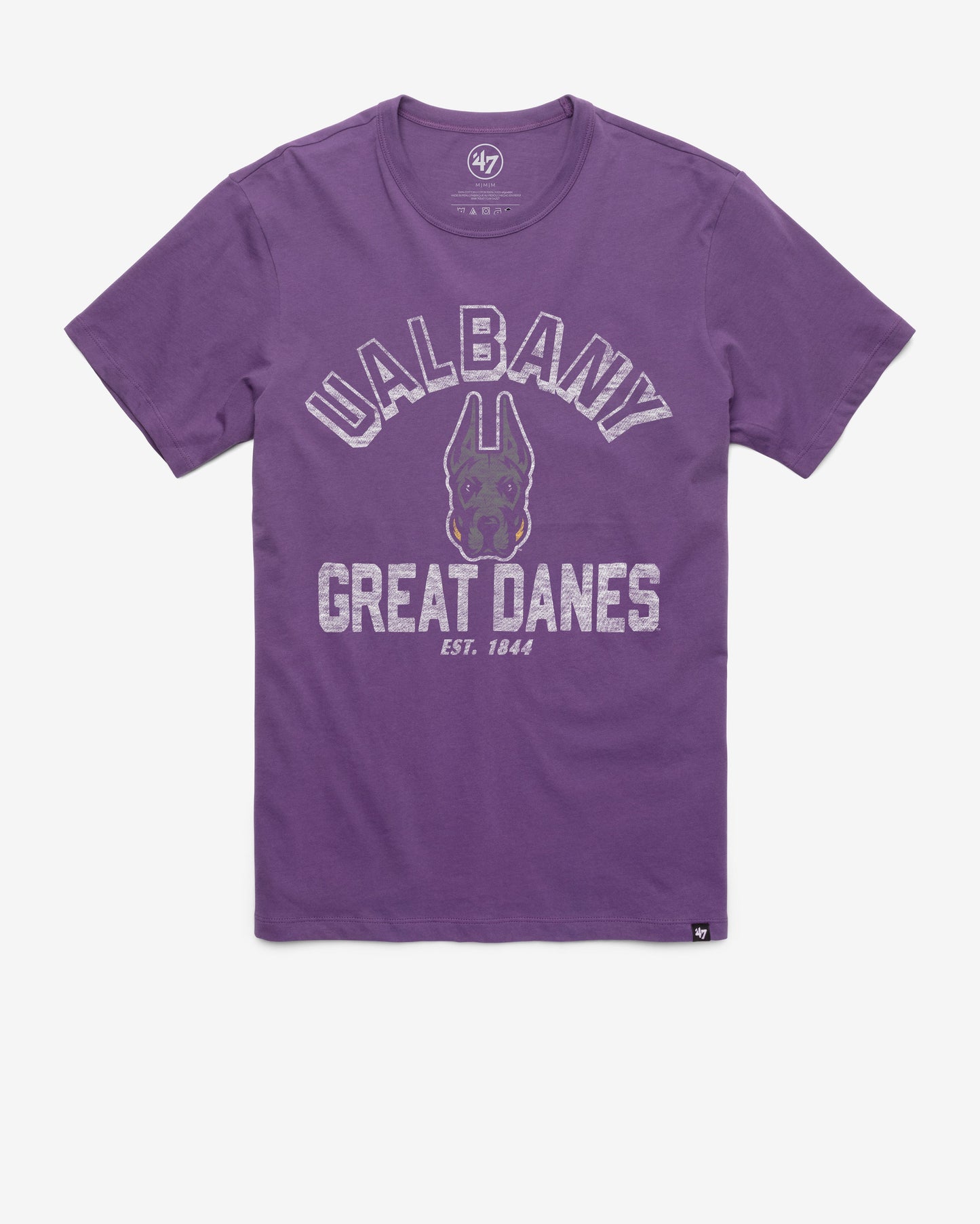 SUNY ALBANY GREAT DANES RETROGRADE '47 FRANKLIN TEE
